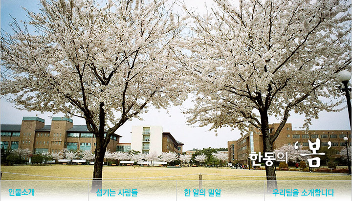 학생회관옆 벚꽃나무 두그루
