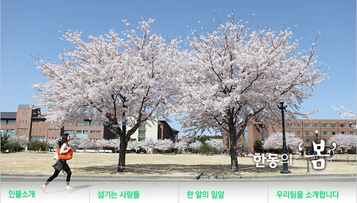 학생회관 옆길 벚꽃