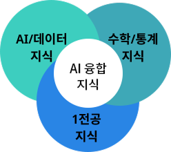 AI 융합 지식 1전공 지식 AI/데이터 지식 수학/통계 지식